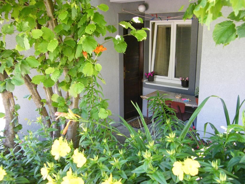 Гостевой дом Guest Accommodation Bakic Колашин-54