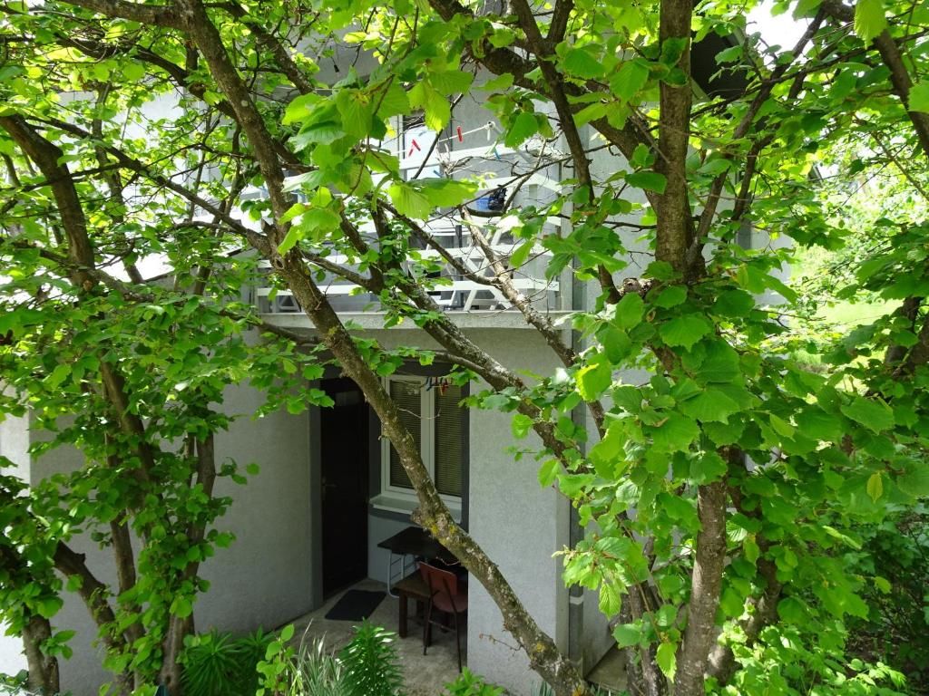 Гостевой дом Guest Accommodation Bakic Колашин-55