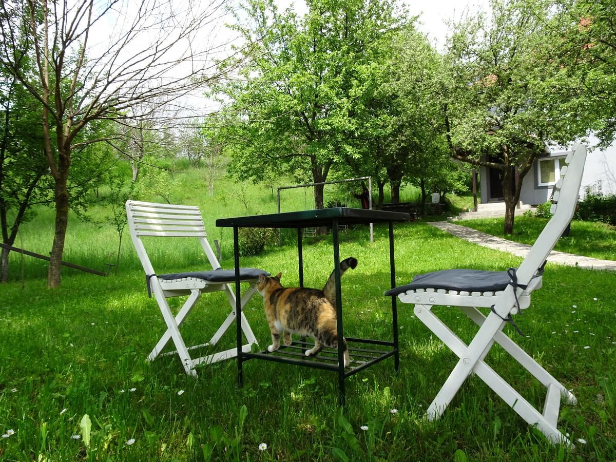 Гостевой дом Guest Accommodation Bakic Колашин-10
