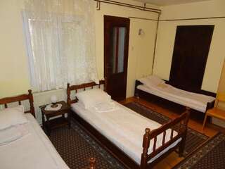 Гостевой дом Guest Accommodation Bakic Колашин Четырехместный номер-11