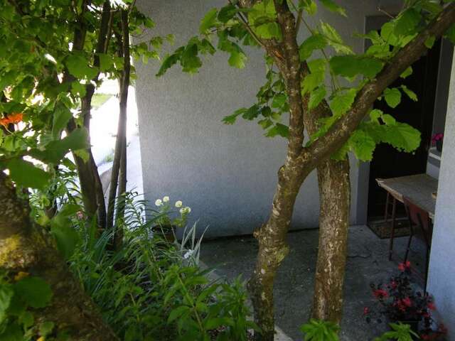 Гостевой дом Guest Accommodation Bakic Колашин-52