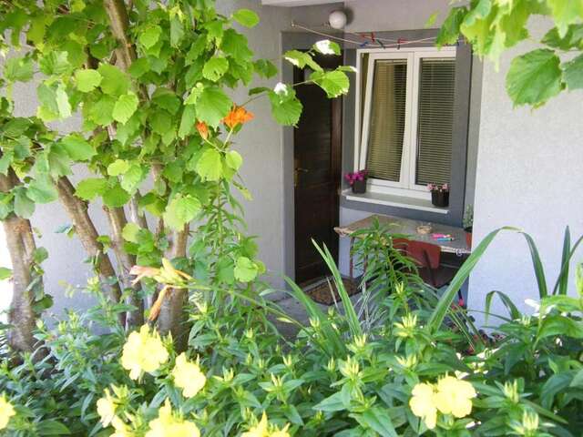 Гостевой дом Guest Accommodation Bakic Колашин-53
